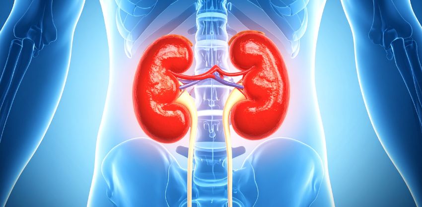 Principais Problemas Urológicos: sinais que merecem atenção